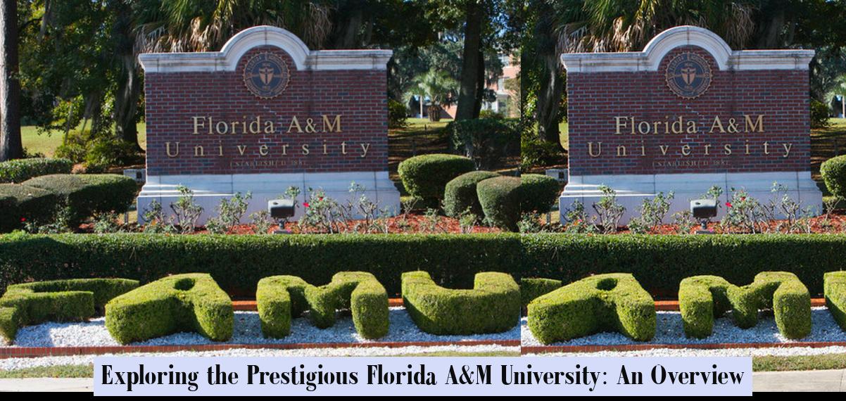 Exploring the Prestigious Florida A&M University: An Overview ...