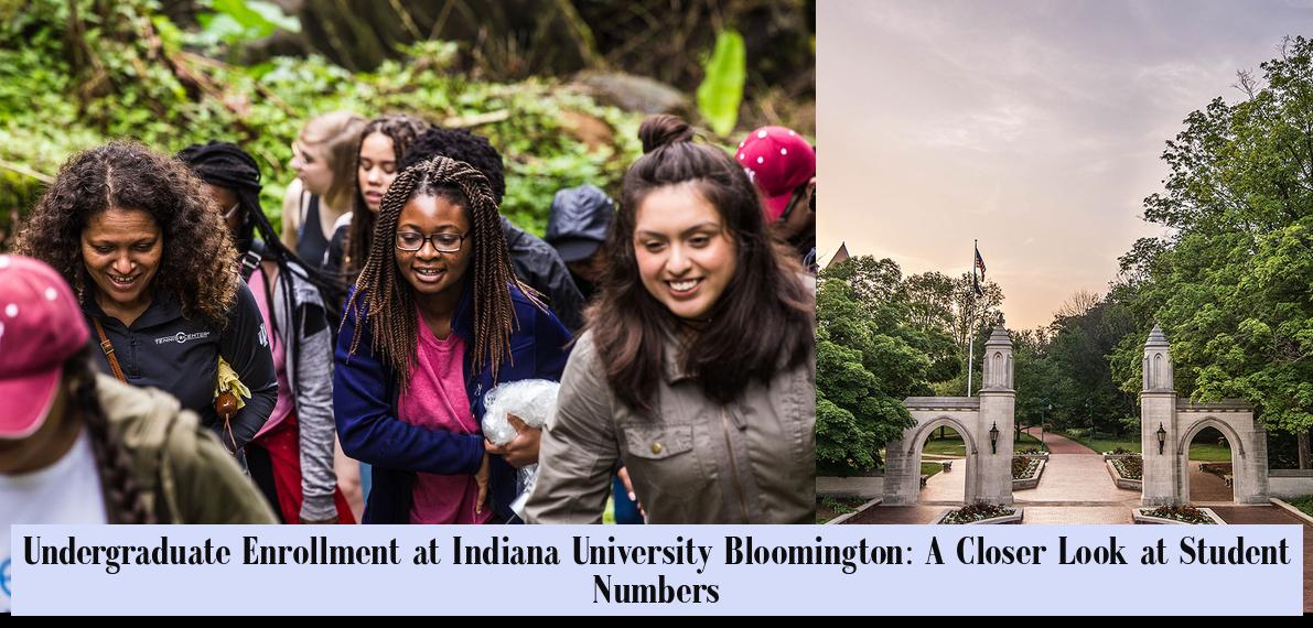 Undergraduate Enrollment at Indiana University Bloomington: A Closer ...