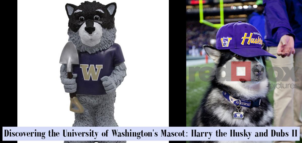 Discovering the University of Washington's Mascot: Harry the Husky and ...