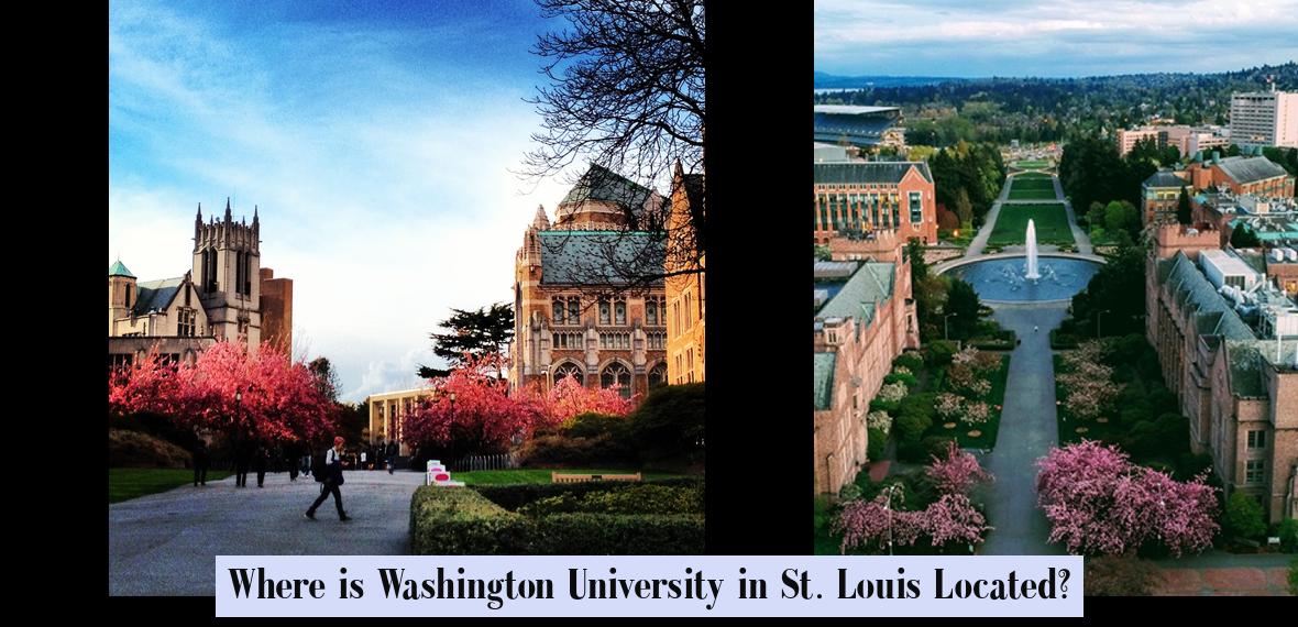 Where is Washington University in St. Louis Located? - JobLoving ...