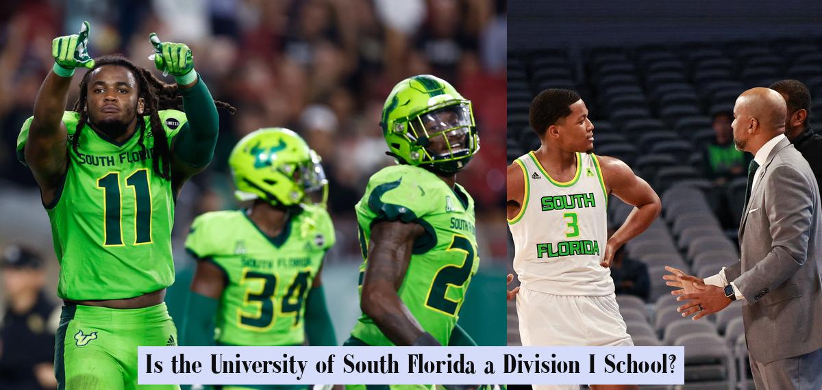 Is the University of South Florida a Division I School? - JobLoving ...